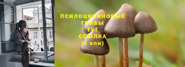 2c-b Бородино