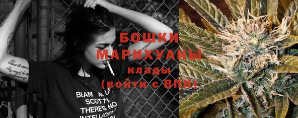 молекула духа Богданович