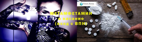молекула духа Богданович