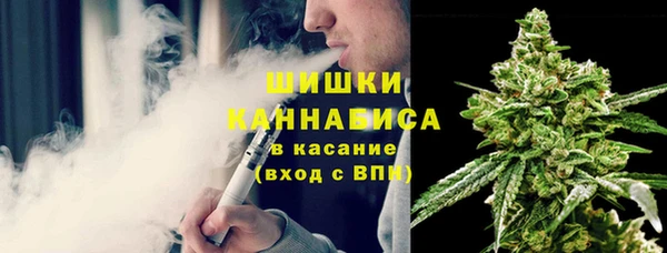 молекула духа Богданович