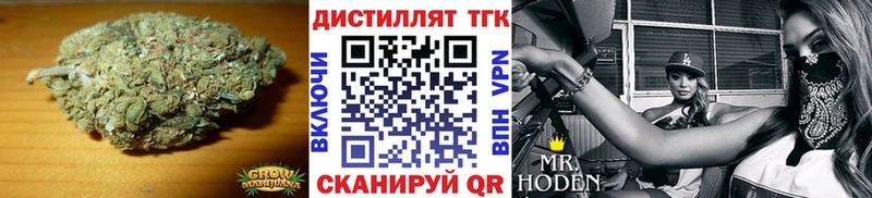 Дистиллят ТГК THC oil  маркетплейс наркотические препараты  Кондопога  KRAKEN ТОР 