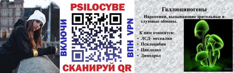 Псилоцибиновые грибы Psilocybe  Кондопога 
